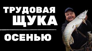 Трудовая щука осенью. Что делать, когда не клюёт? Тест Crazy Fish Levin 6'9" L-T