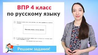 ВПР по русскому языку 4 класс часть 2. Полный разбор заданий