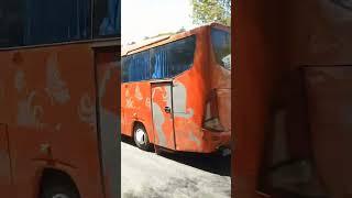 Bus buser orens telolet #viral