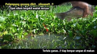 PLUNG NYUT..!! MANCING NILEM DI WADUK MRICAN STRIKE BERTUBI-TUBI