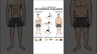 28 days mesomorph fat burning challenge#shorts#fat burning#muscle4life