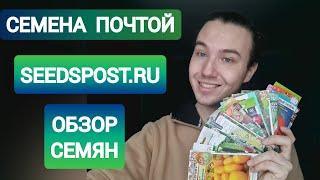 СЕМЕНА ПОЧТОЙ | МОИ ПОКУПКИ | СЕМЕНА пакетики для РАССАДЫ | seedspost.ru