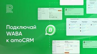 Подключи WhatsApp Business API к amoCRM за 5 минут | Официальный WhatsApp: рассылки без банов