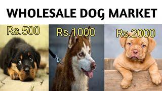 Dog price list in India | Wholesale Dog market | Galiff Street market