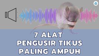 Rekomendasi 7 Alat Pengusir Tikus Paling Ampuh