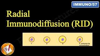 Radial Immunodiffusion (Mancini Technique) (FL-Immuno/57)