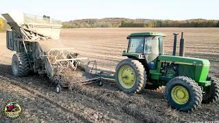 Harvesting Kidney Beans with Bob Model 56 Combines