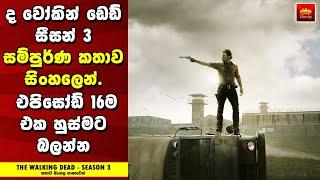 "ද වෝකින්  ඩෙඩ් - සීසන් 3" Review Sinhala - Home Cinema Sinhala Movie Review - Explained in Sinhala