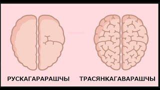 МАЙДАН ЭЎРОПЫ 14 ТРАСЯНКА