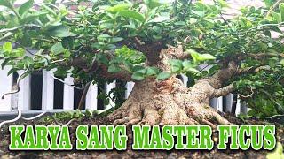 WOW...THE MASTER OF THE FICUS TREE IS PLAYING BANCANG???