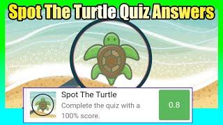 Spot The Turtle Quiz answers | ALL NEW UPDATE | Quiz Diva