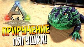 Приручение Лягушки (Beelzebufo) ! #5 - ARK - выживание на карте Вальхалла (Valhalla)