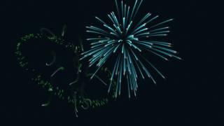 Fireworks animation