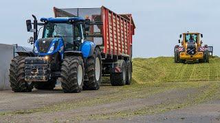 Maize silage 2021 and pit work | 10 row Claas Jaguar 960 | LU Klein-Hitpaß