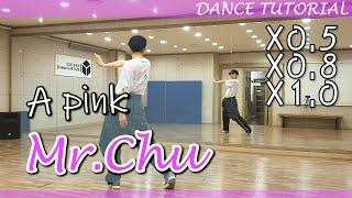 [느리게] Apink (에이핑크) - Mr.Chu 미스터츄 | 안무배우기 Dance Slow Tutorial | 거울모드 MIRROR MODE