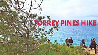 Hiking Torrey Pines | A State Natural Reserve in California | Torrey Pines Hike San Diego