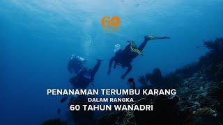 WANADRI | PENANAMAN TERUMBU KARANG | DIES NATALIS 60 TAHUN WANADRI | PULAU PRAMUKA