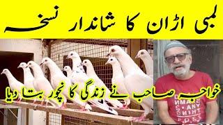 Kabootar ki parwaz k leay nuskha | Kabotaro ko Urna ka Nuskha | Parwazi Nuskha Pigeon | #kabootar