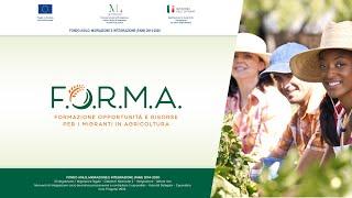 Contrasto dello sfruttamento del lavoro in agricoltura: quali strumenti a livello europeo?