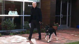 The Backstory of How Joe Biden Adopted His Rescue Dog