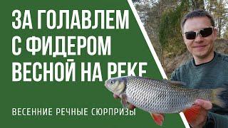 Охота на голавля на реке весной