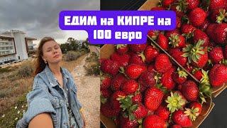 Как мы питаемся на 100 ЕВРО в НЕДЕЛЮ. Жизнь на Кипре.