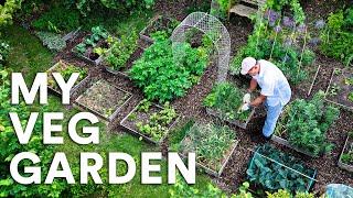 My Ultra Low-Maintenance Garden: The Full Tour