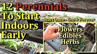 12 Perennial Flowers, Herbs, & Edible Plants to Start Indoors Now (Seed Starting Class E-1)