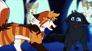 Mapleshade and Perchpaw PMV MAP: Nothing Left To Lose (Part 14)