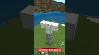 100 SKELETON VS IRON GOLEM MINECRAFT #shorts