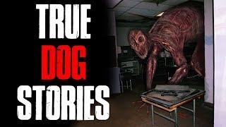 3 True Scary Dog Horror Stories