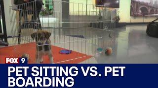 Pet sitting vs. pet boarding facilities: Advice from the animal humane society