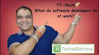 TT-Shots : What do software developers do at work?