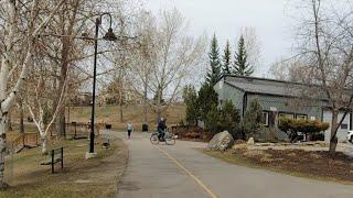 Carburn Park Virtual Walk 2022, Calgary Alberta