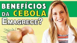 Benefícios da Cebola - Para Que Serve? Emagrece? E o Chá? [DICAS]