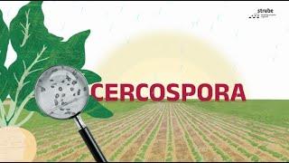 Cercospora: So handelst du als Experte