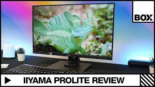 Iiyama Prolite XUB2492HSN-B1 24'' USB-C Docking Monitor Review!