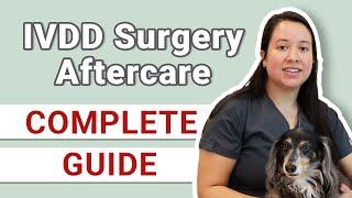 How to Care for a Dog After IVDD Surgery | Instructions Guide