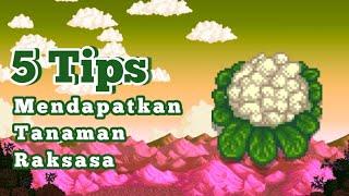 5 Tips Mendapatkan Tanaman Raksasa Di STARDEW VALLEY