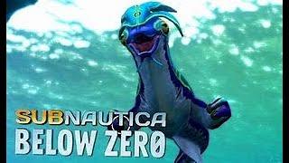 Sea monkey steals camera | Subnautica below zero