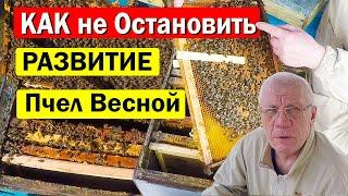 ВАЖНО! Наличие Кормов на Развитие пчел весной.