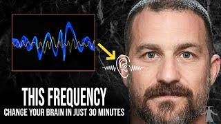 What is The 40 Hz Frequency and What Can It Do For You? | with Dr. Andrew Huberman