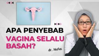 VAGINA SELALU BASAH, INI GEJALA PENYAKIT DAN  PENYEBABNYA