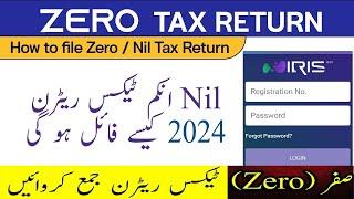 How to File Nil Income Tax return 2024 | Zero Income Tax Return 2024 Nil | Income Tax Return Filing