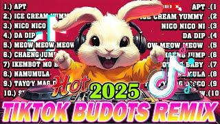 New VIRAL TIKTOK DISCO PARTY 2025 - TRENDING TIKTOK BUDOTS DANCE REMIX 2024