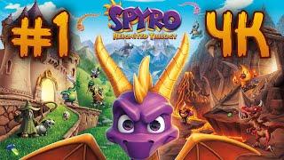 Spyro the Dragon Remastered ⦁ Полное прохождение