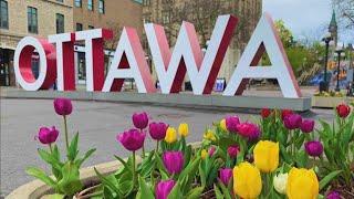 Exploring Gatineau & Ottawa Region in Canada  • 2024 