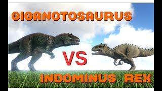 Giganotosaurus vs Indominus Rex (tamed+wild) || ARK: Survival Evolved || Cantex