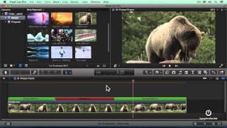 Creating A Hold Frame in Final Cut Pro X