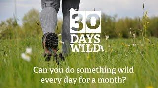 30 Days Wild - do something wild every day for a month!